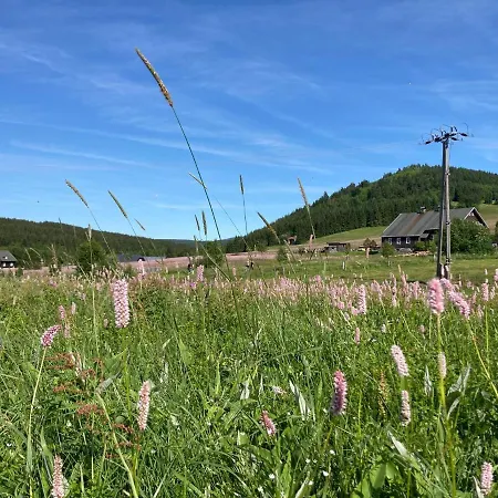 Pyramida - 3* Jizerka