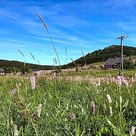 Pyramida - Hotel Jizerka